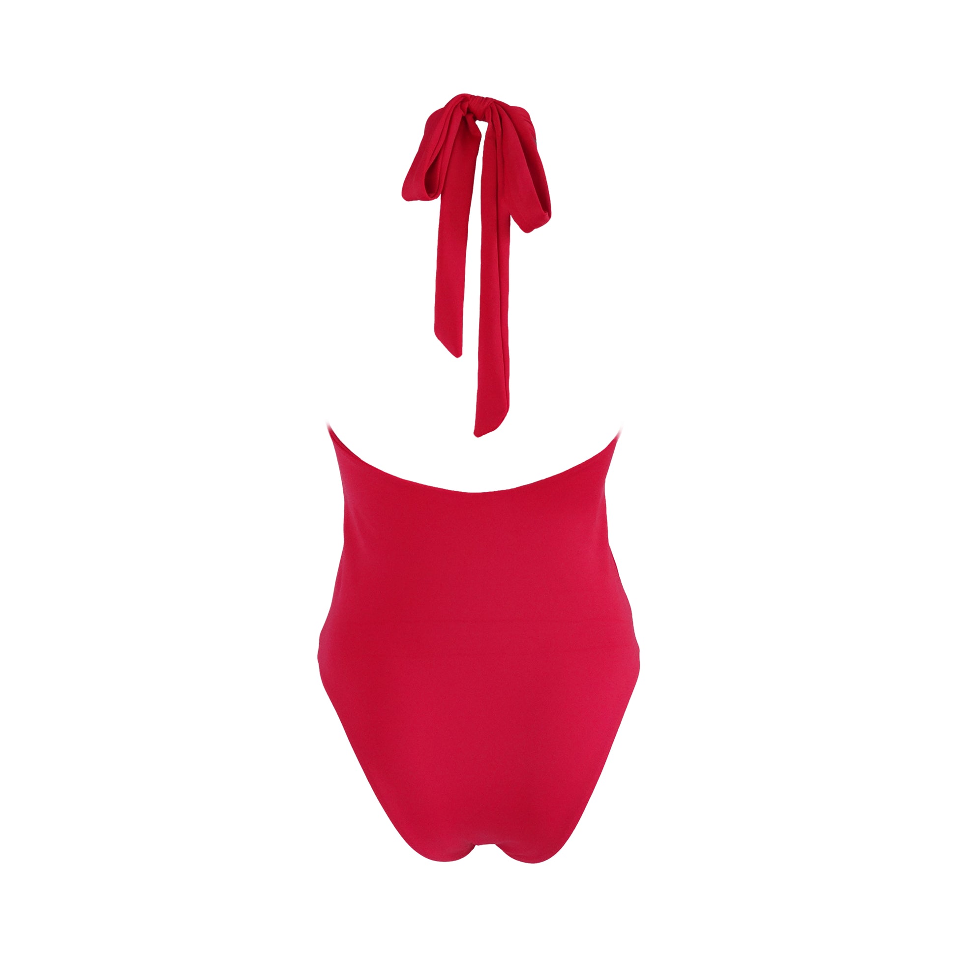 Back view of Tie mock neck halter one piece swimsuit with a low back, high cut legs and cheeky bum coverage.